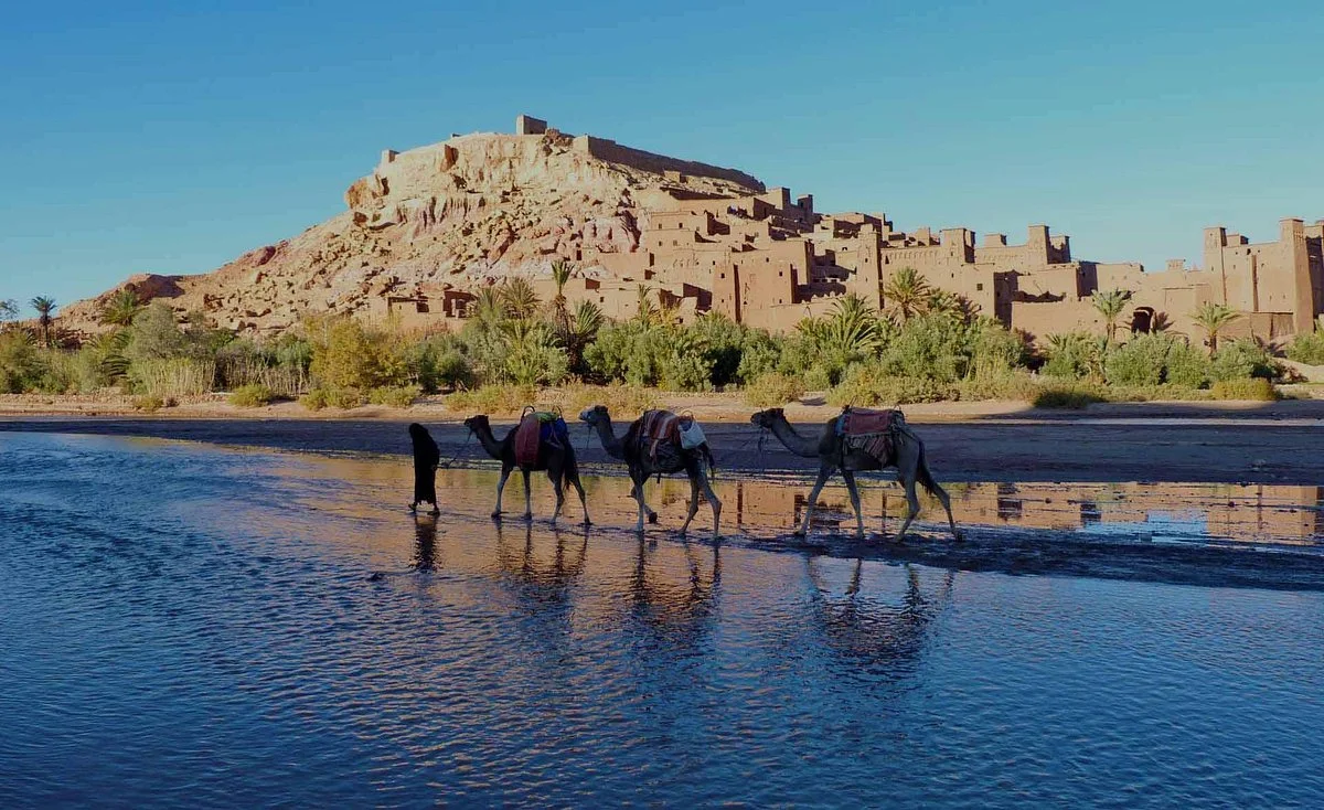 Athene Of Africa Tours