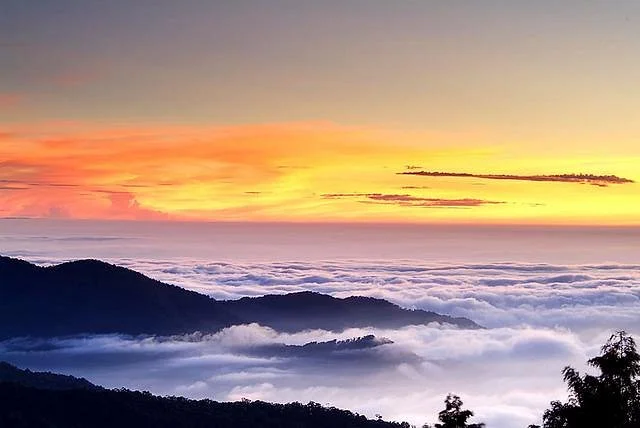 Ali Mountain (Alishan)