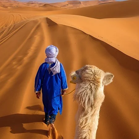 Morocco Africa Tours
