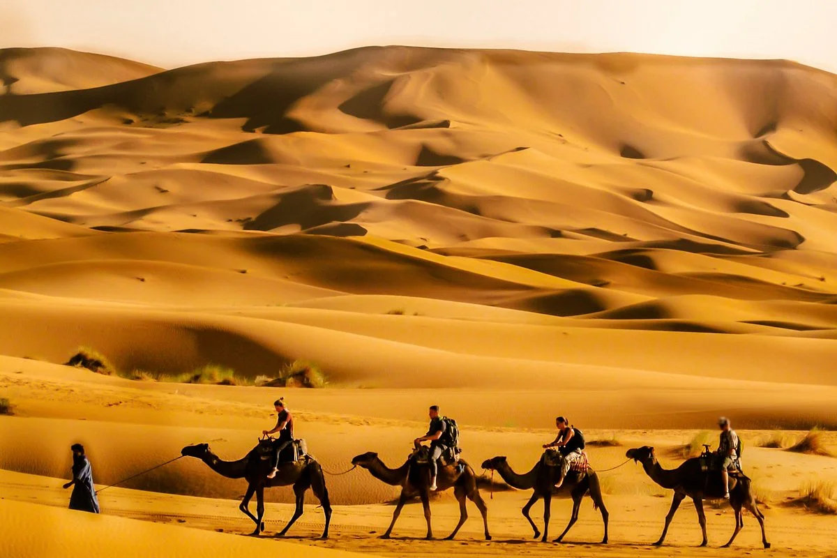 Relish Morocco Tours
