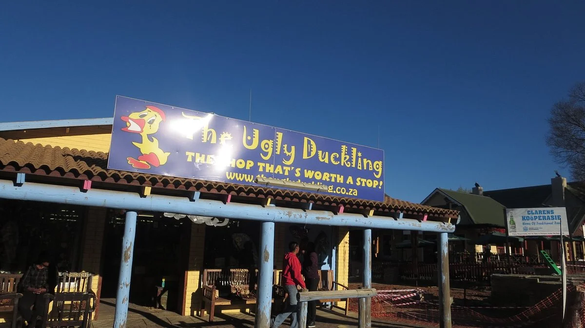 The Ugly Duckling