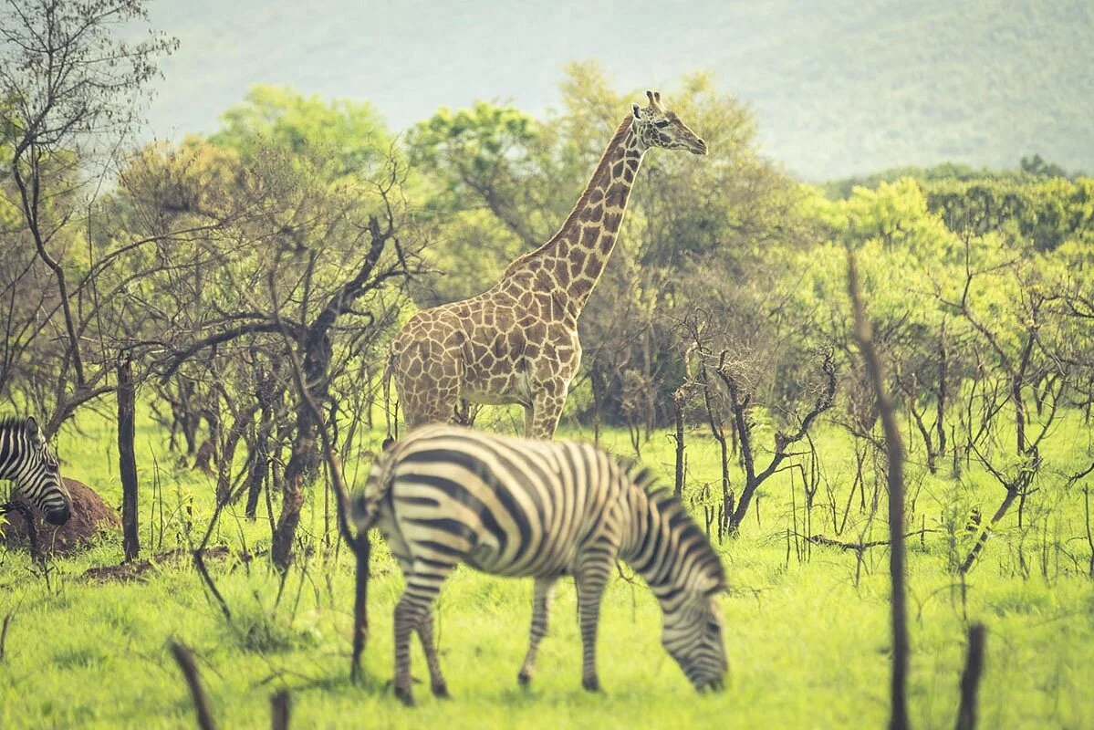 WE TRAVEL RWANDA