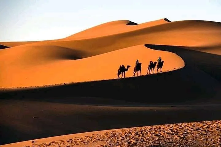Luxurious Morocco tours