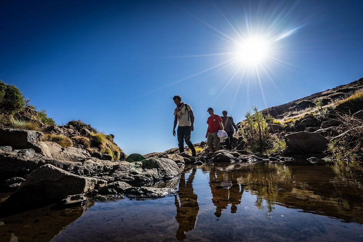 Simien Tour