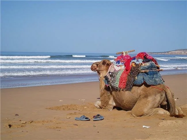 Morocco Trip Link