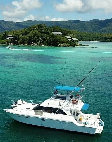 Ocean Bird Boat Charter