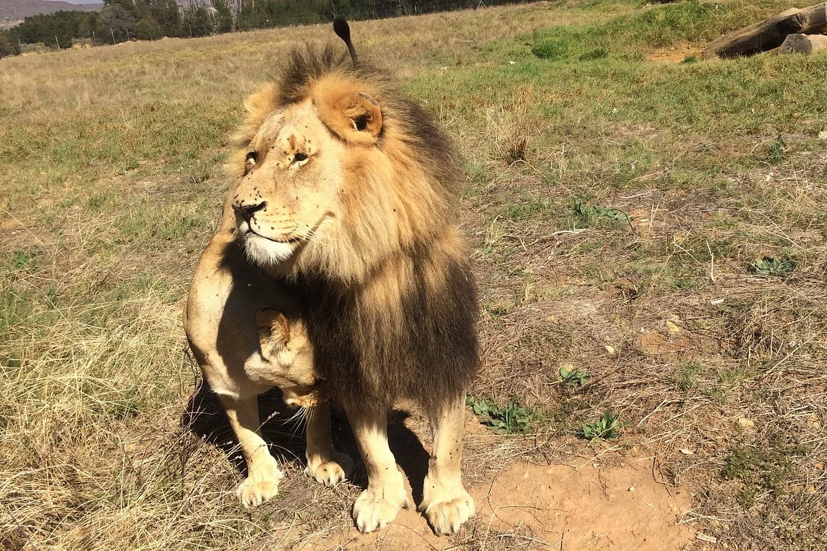 Point Africa Travel and Tours