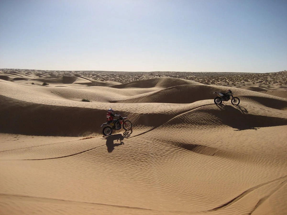 Buggy & Bike