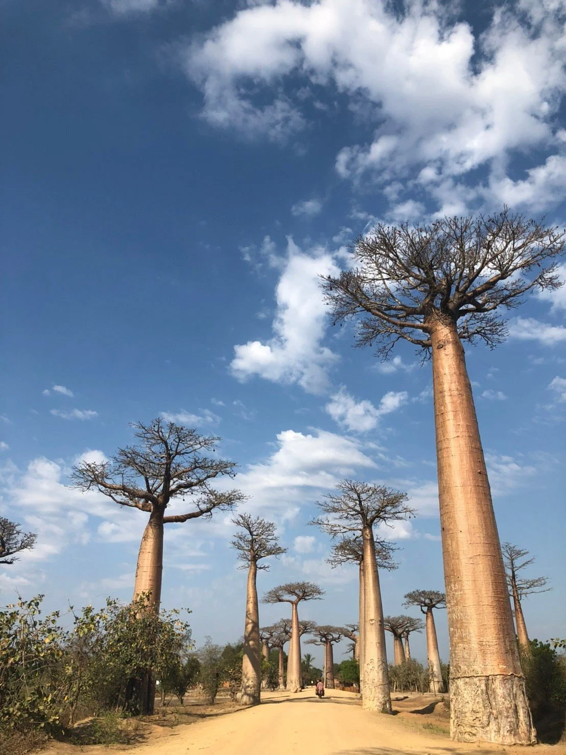 Calumma Travel Madagascar