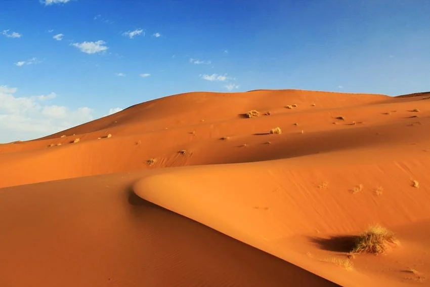 Sahara Tours Morocco