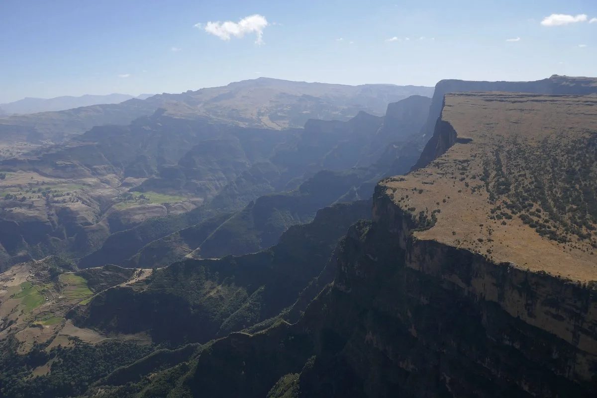 Panoramic Simiens
