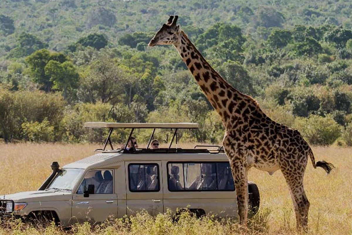 Earth's Heart Safari