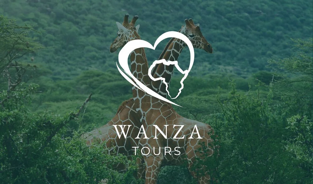 Faizel Wanza