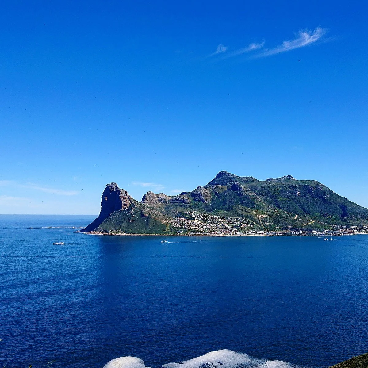 Shark & Safari Tours