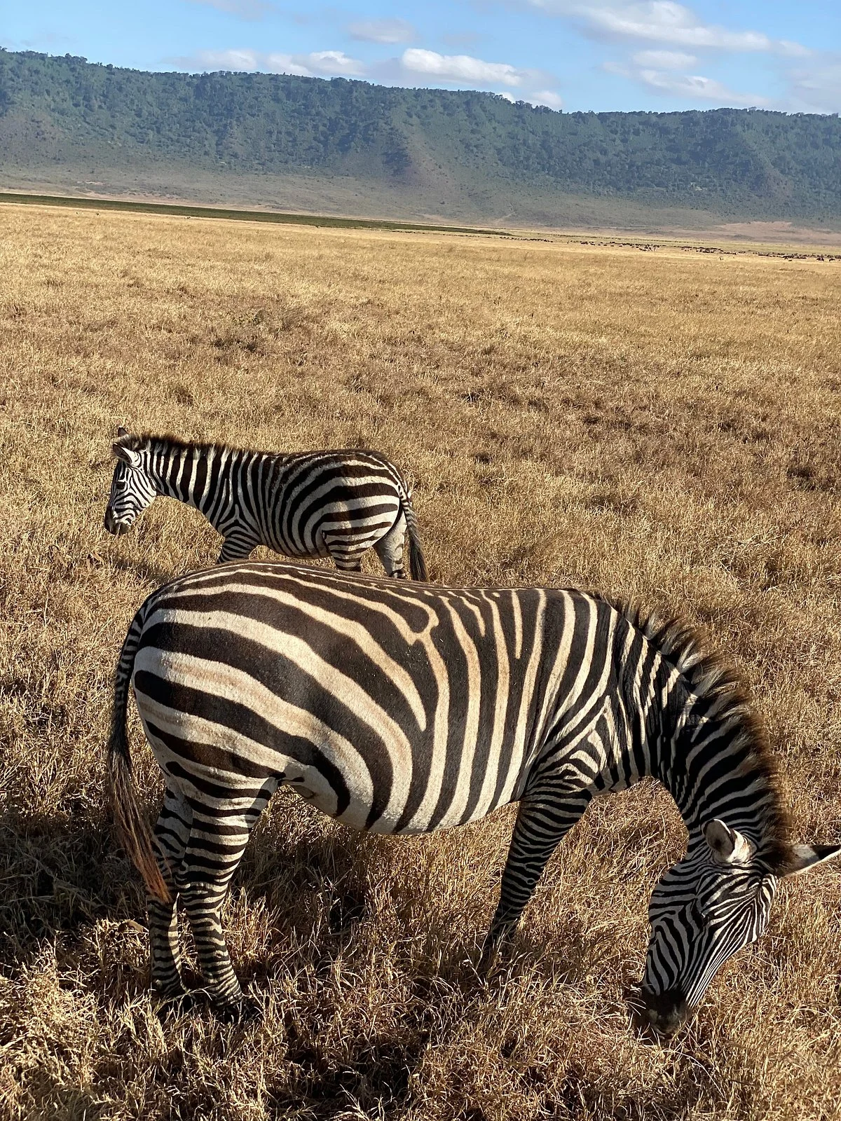 Coco Tours And Safaris