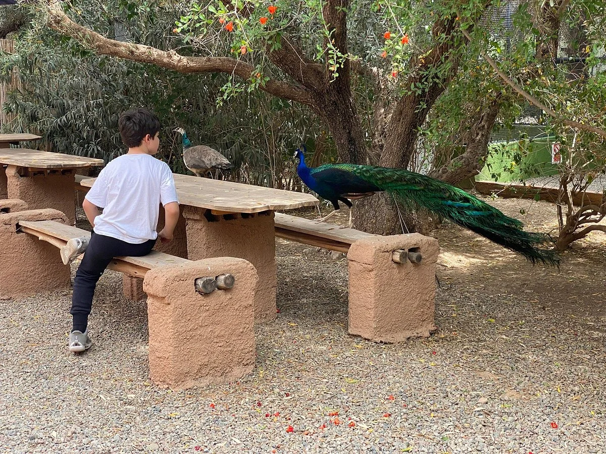 La Perle Aux Oiseaux