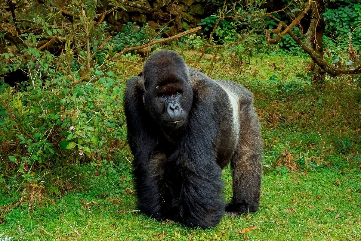 Fruits of Hope Adventure Tours and Travel