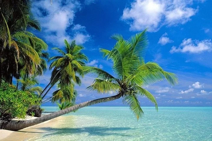 Unique Zanzibar Tours