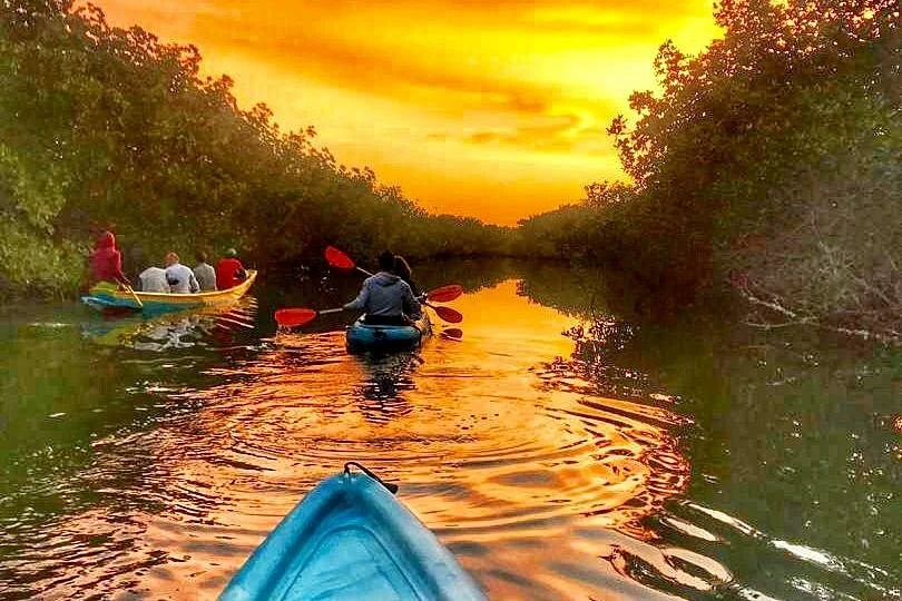 Gambia Kayaking
