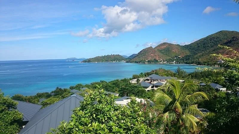 Black Pearl Transfers & Tours