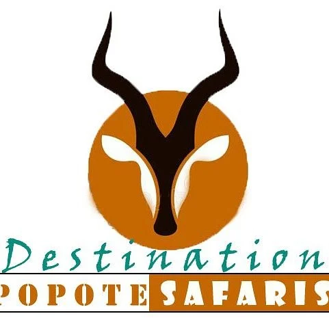 Destination Popote Safaris
