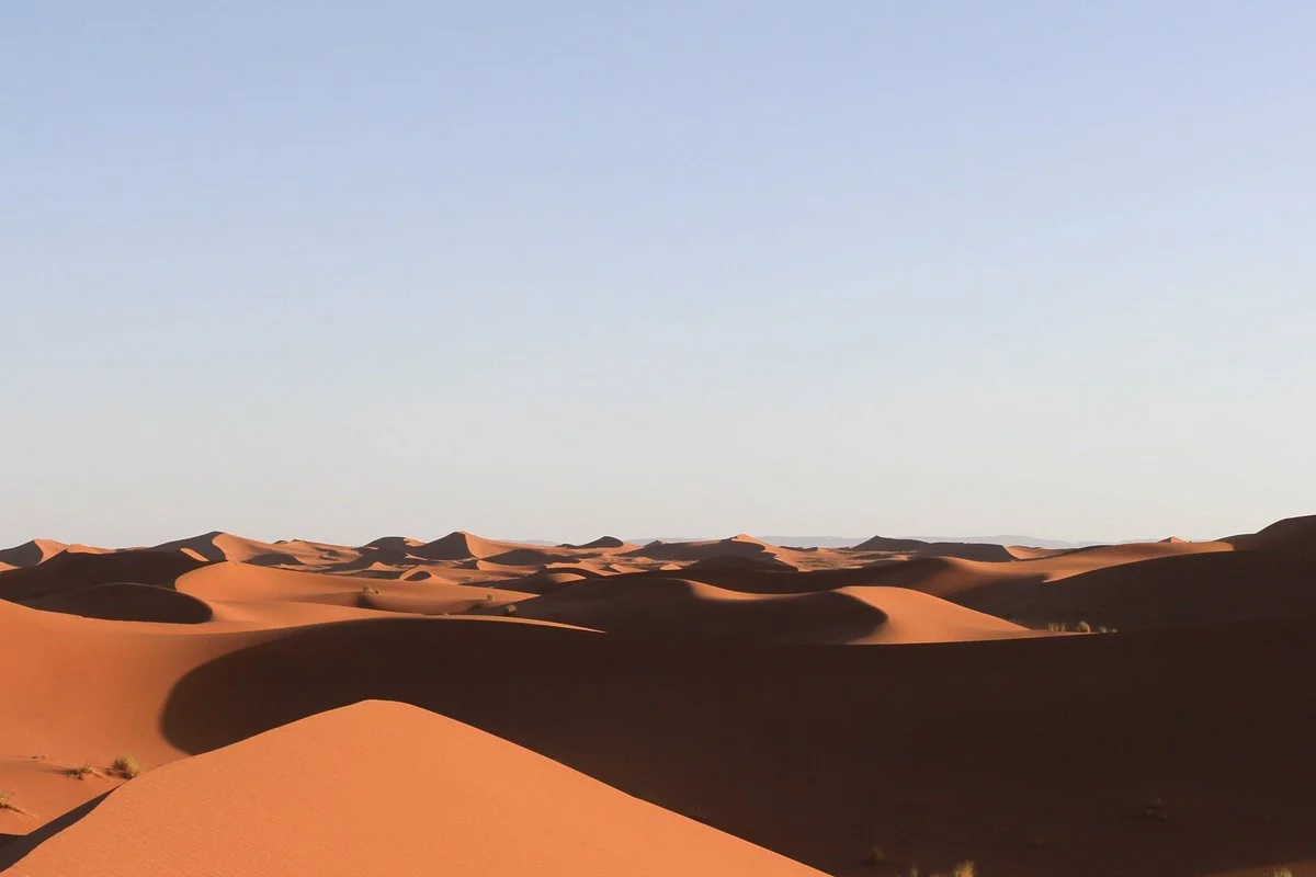 Desert Tour