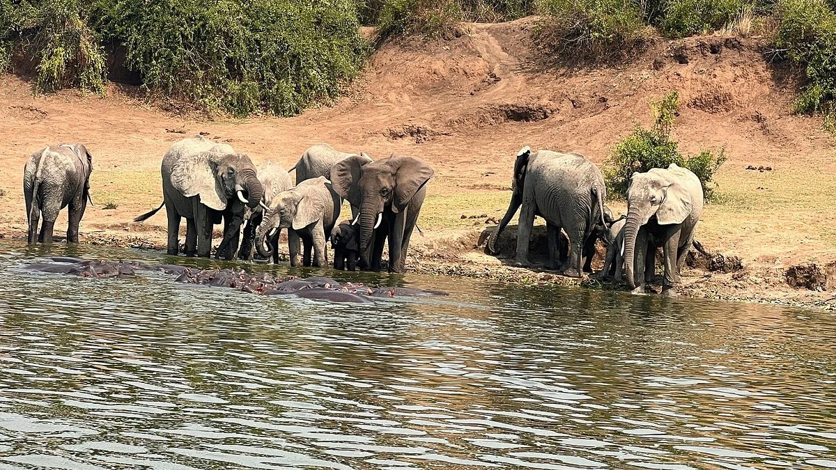 Self Drive Rwanda