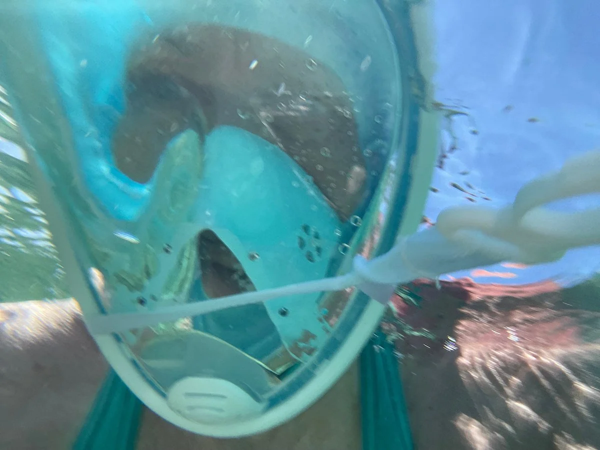 Minions Divers Hurghada