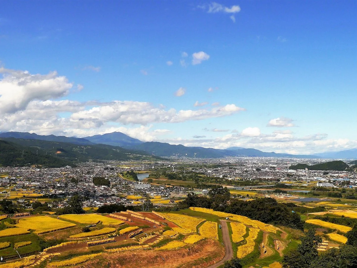 Obasute tanada (Terraced rice fields)