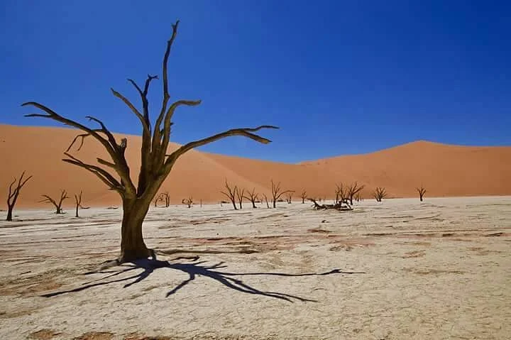 Mannor Safaris Namibia