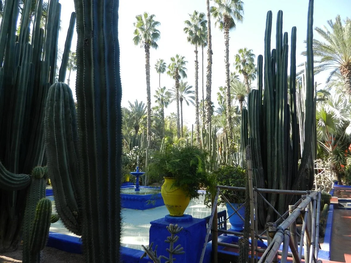 Les Sens de Majorelle