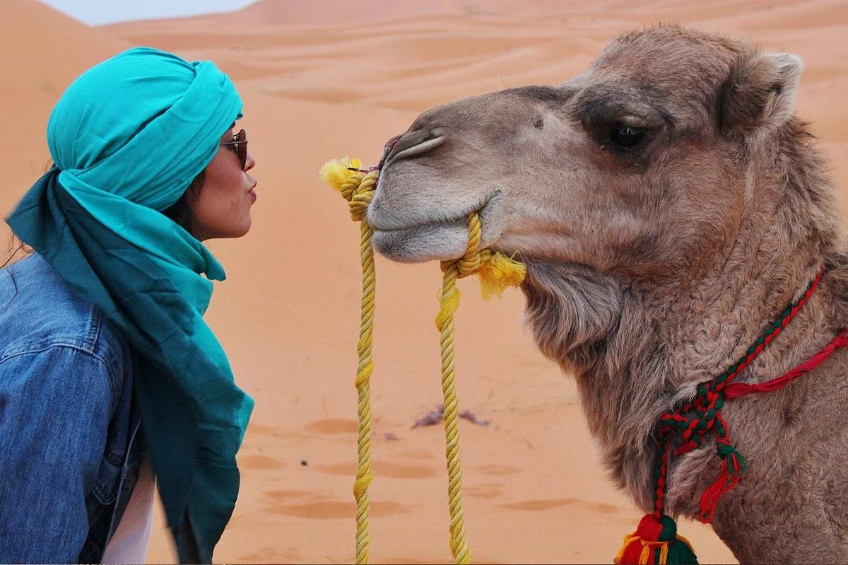 Prime Morocco Tours