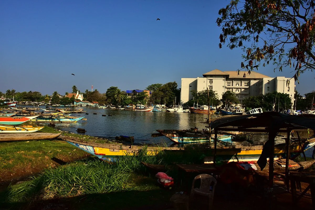 Negombo Fish Market