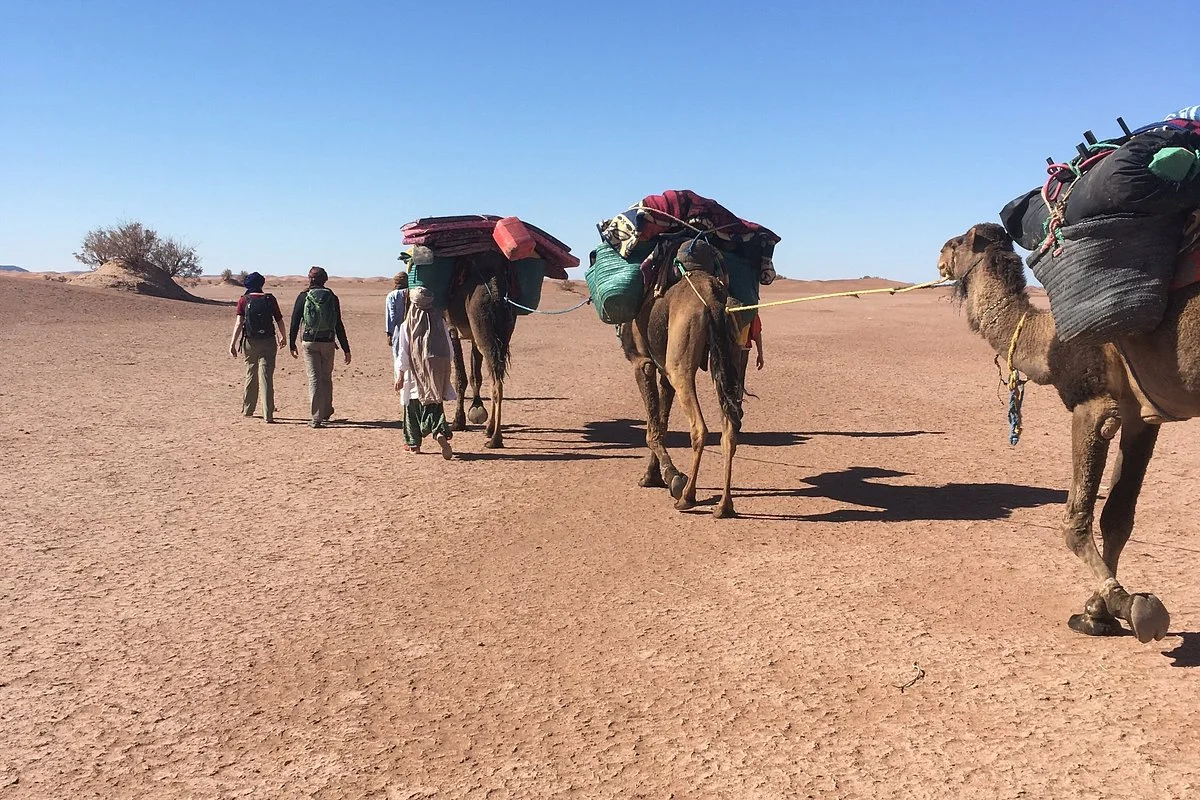 Desert Amnir Tours