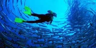 African trips hurghada