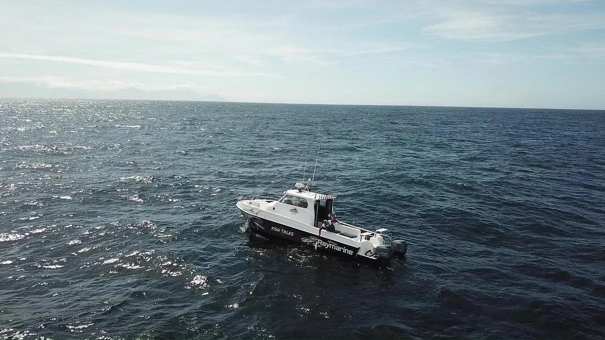 Fish Tales Charters