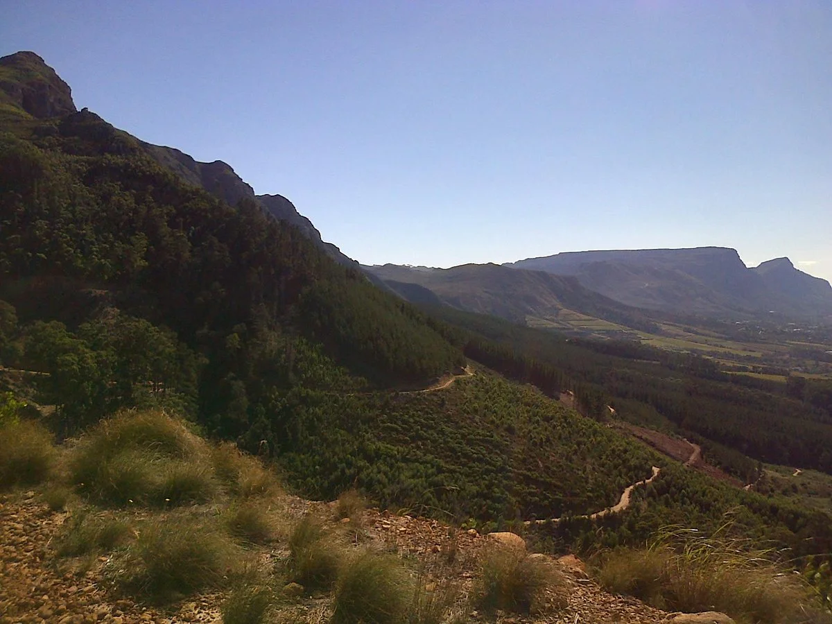 Tokai Forest