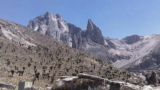 Pinnacle Alpine Tours and Treks