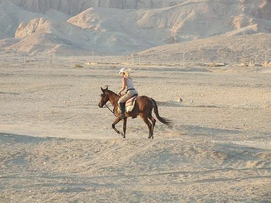 Pharaoh's Stables