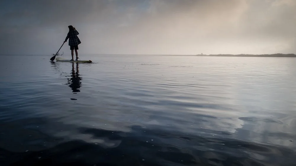 Learn to Surf Plett