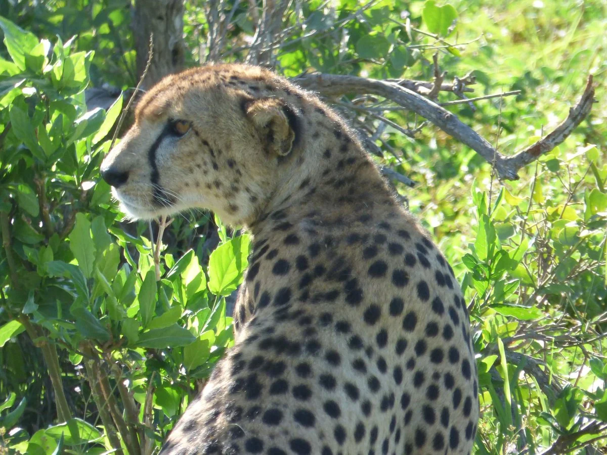 Ita-Tours-Safari & Adventure