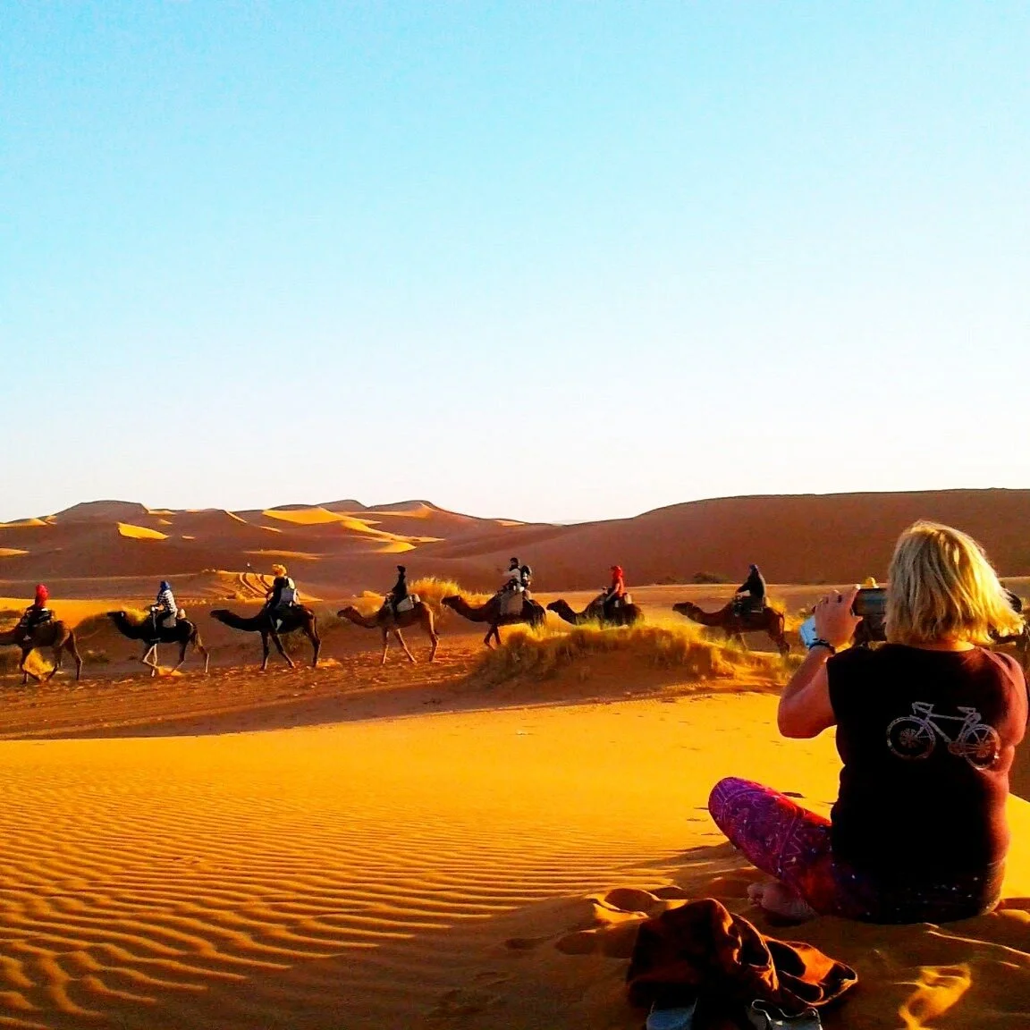 Things to do in Marrakech
