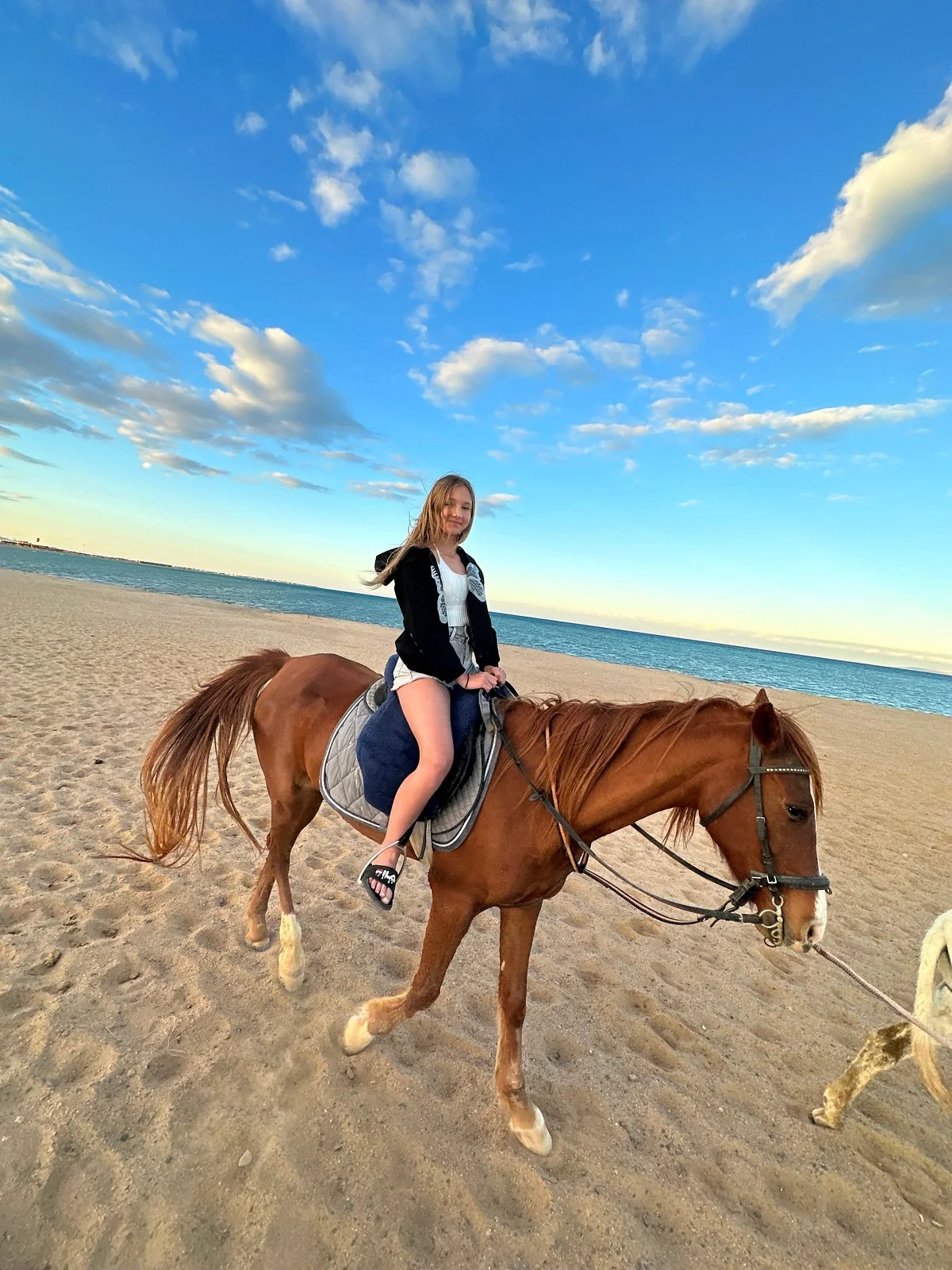 Samara Horse Stable