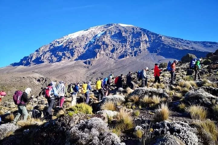 Wotetrekkingandsafaris