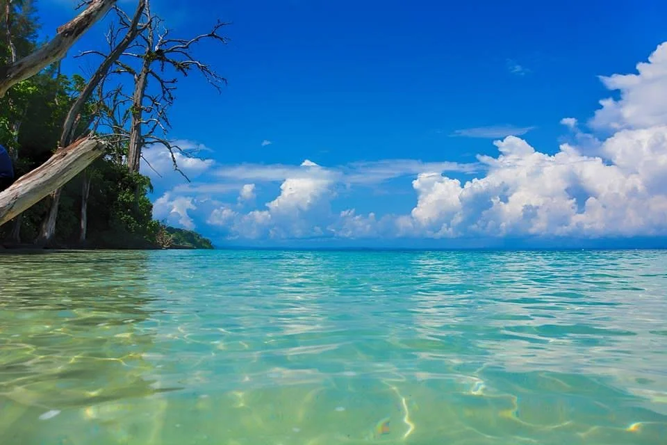 Elephant Beach