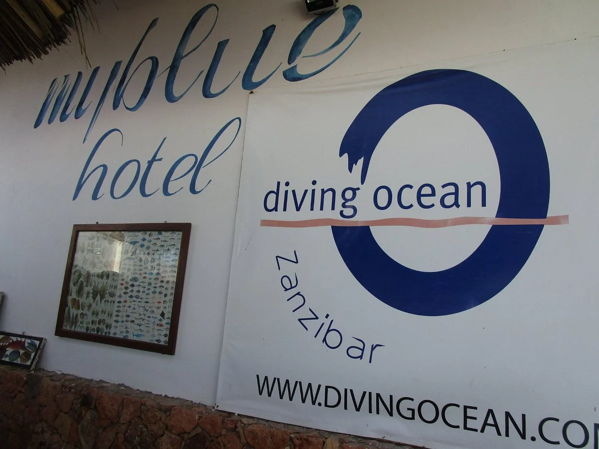 Diving Ocean Zanzibar