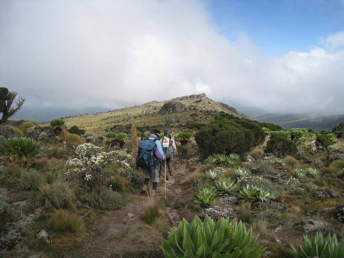 Mt. Kenya Guides and Porters Club