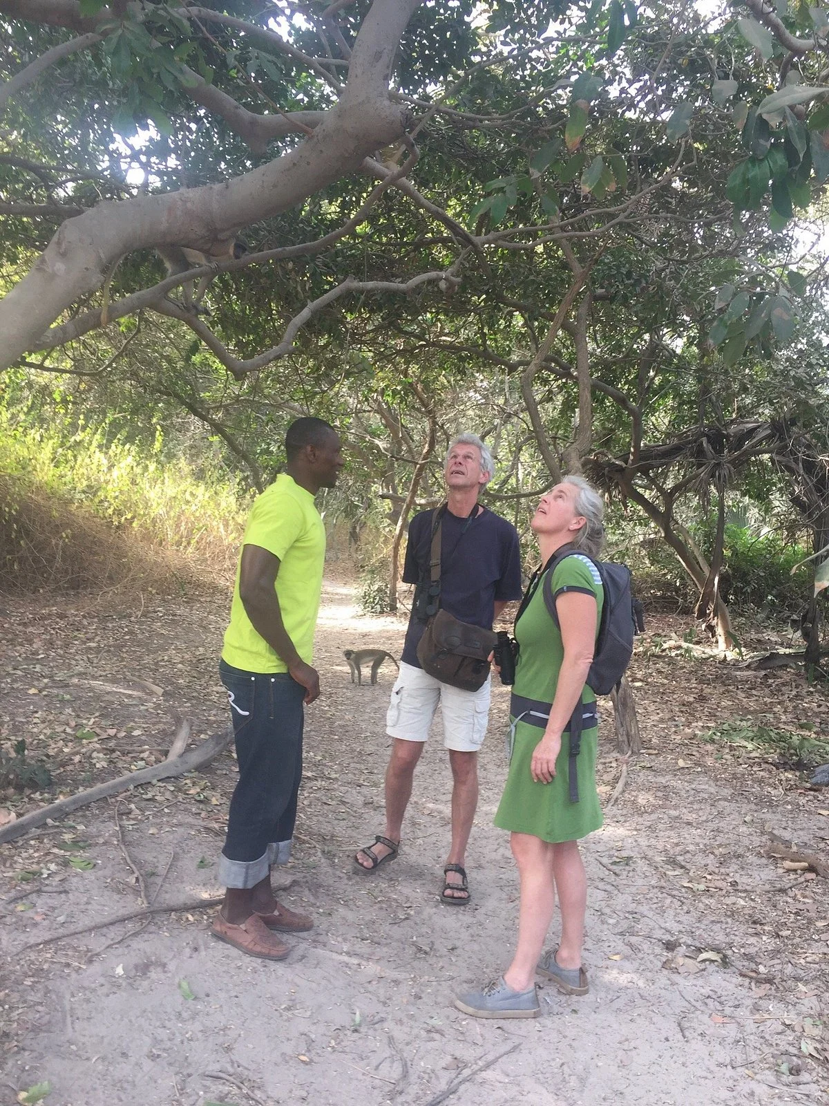Best Bird Watching Gambia