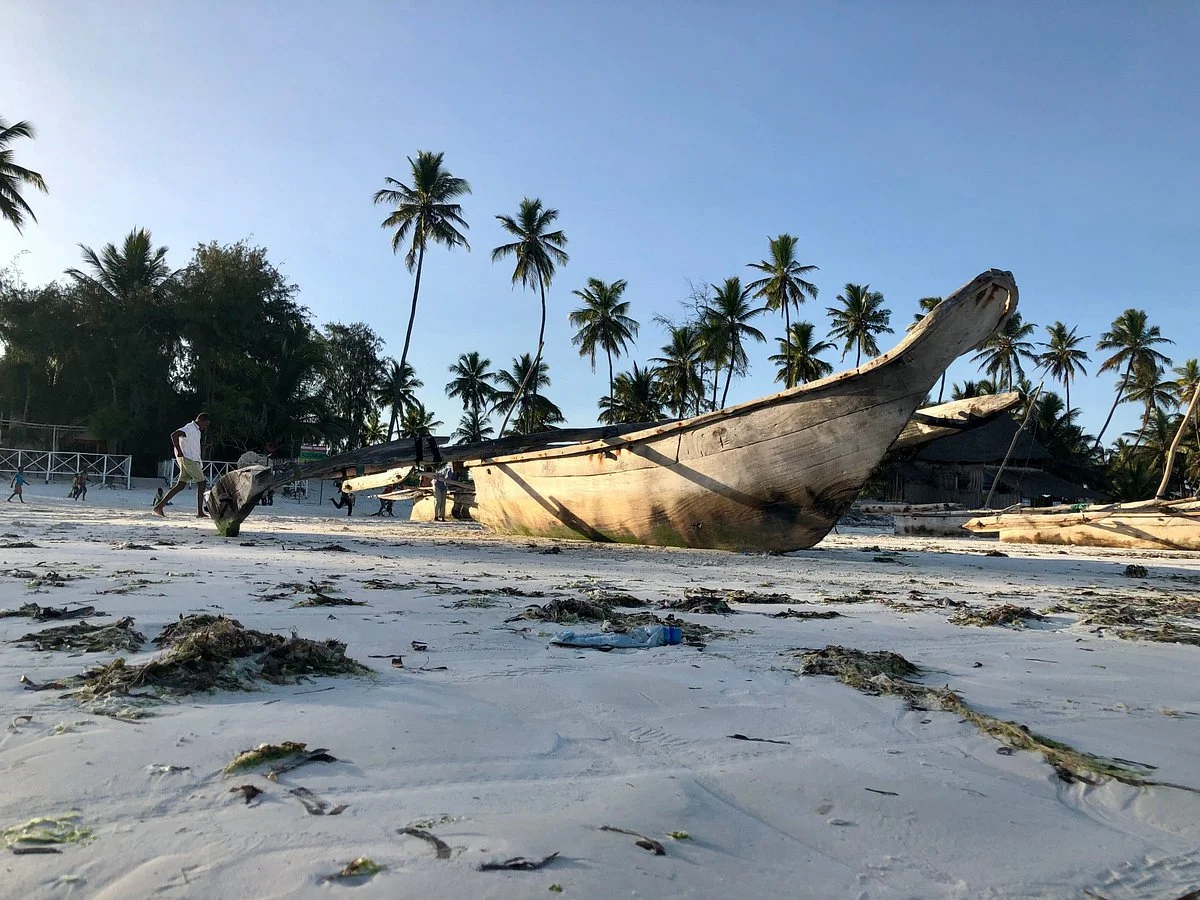Bluewavediving-Zanzibar