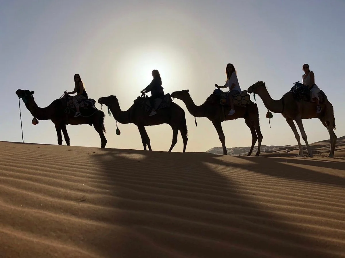 Happy Desert Trips